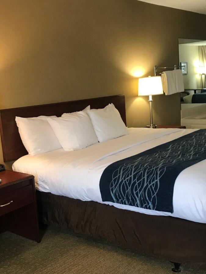 Comfort Inn Кембридж Экстерьер фото