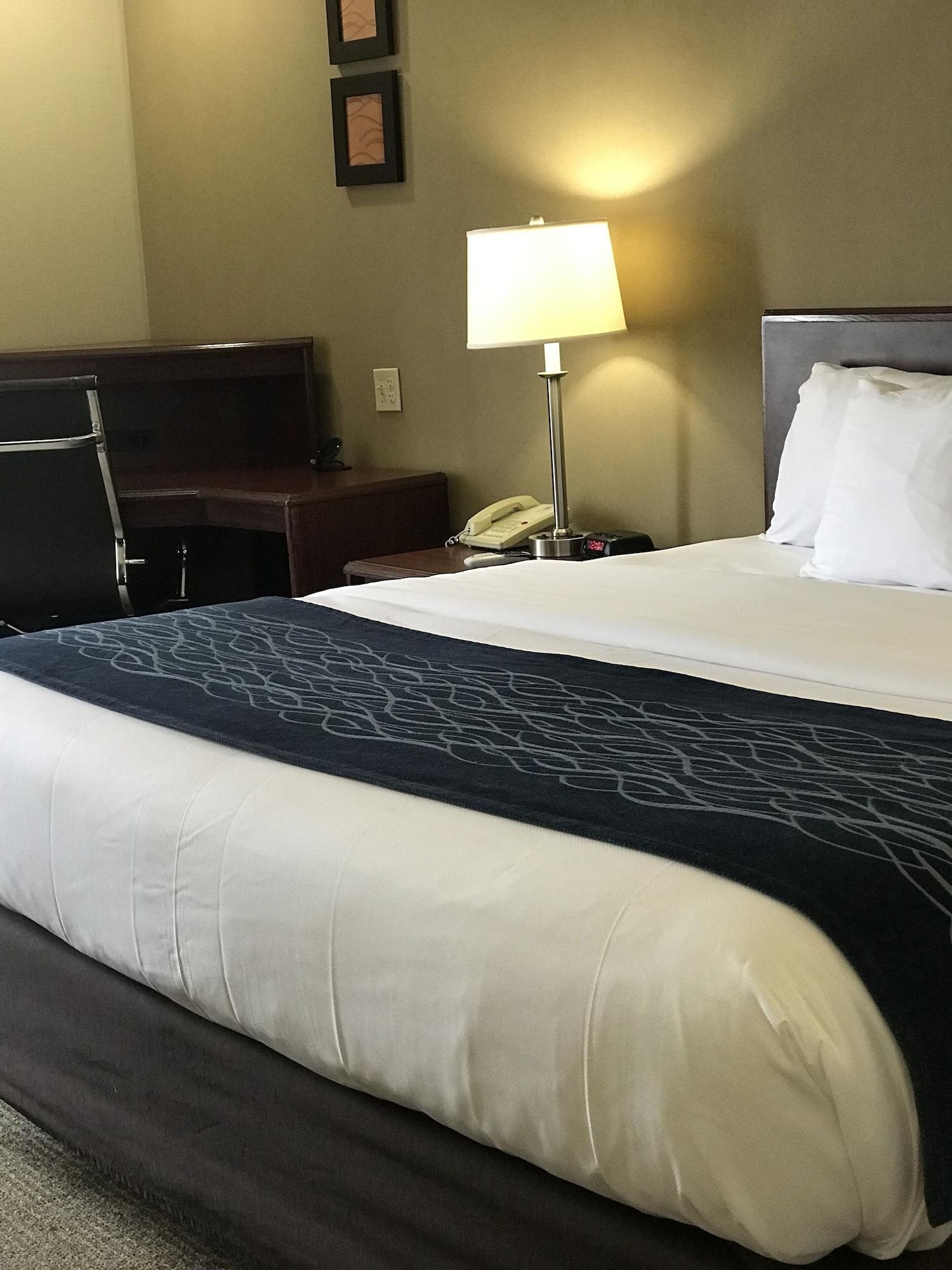 Comfort Inn Кембридж Экстерьер фото